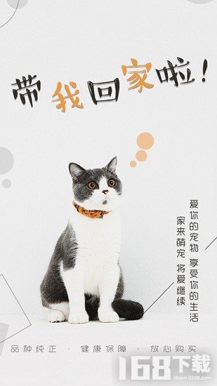 猫行狗市宠物交易市场