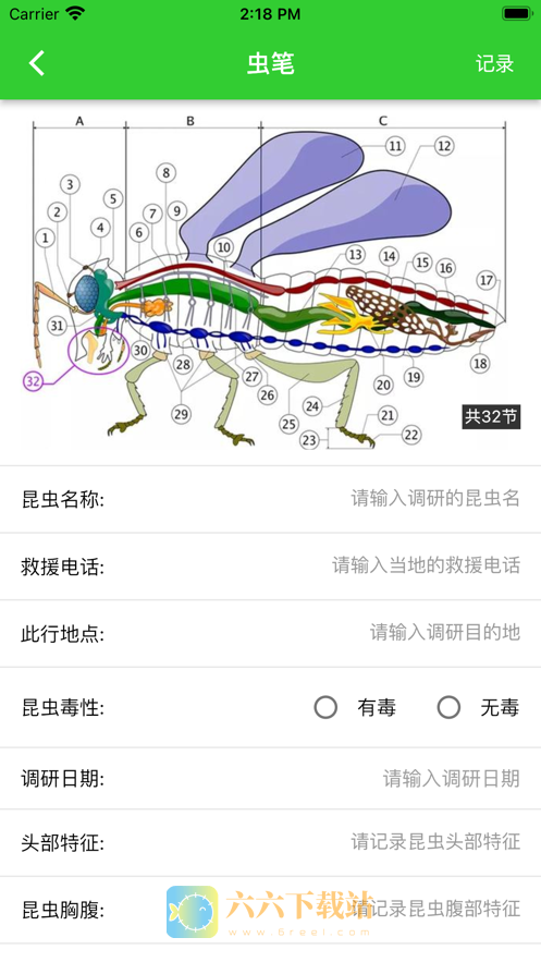 虫笔