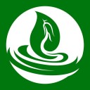 绿色金子 
