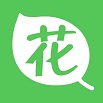 八次方养花 