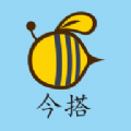 今搭 