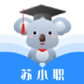 苏小职 