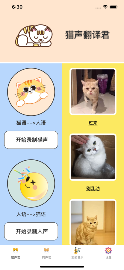 宠宠声君