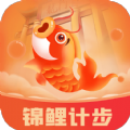 锦鲤计步 
