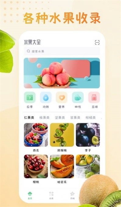 水果大全