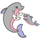 海豚着色书 