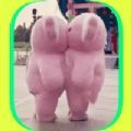 贴贴霸占他的屏幕安卓版 