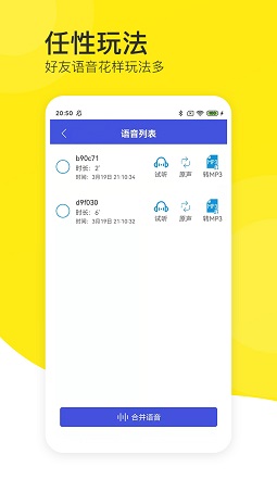 语音导出分享专家