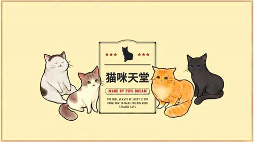 猫咪天国