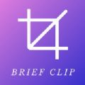 BriefClip 