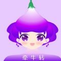 牵牛转 