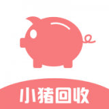 小猪回收 