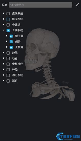 3dbody解剖免费版