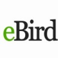 eBird 