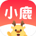 小鹿盒子 