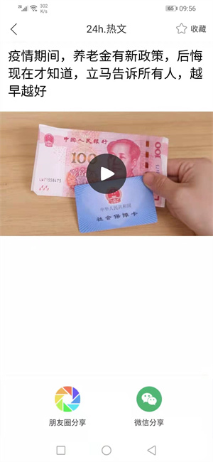 寅虎宝