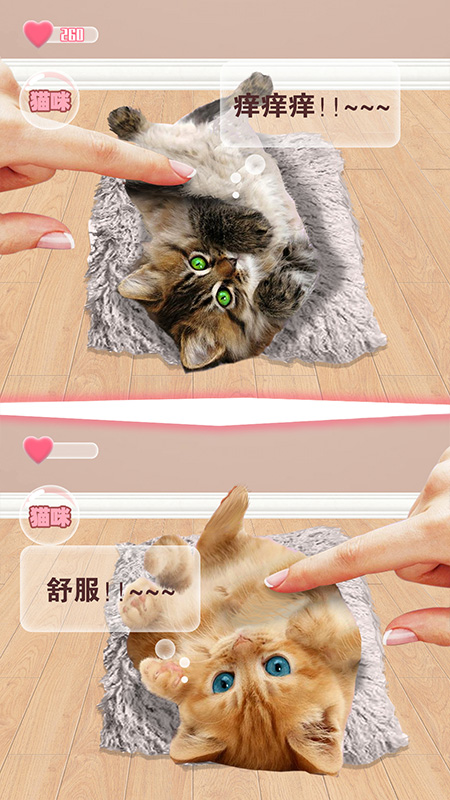 猫猫语言转换器