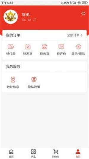 泰美国际