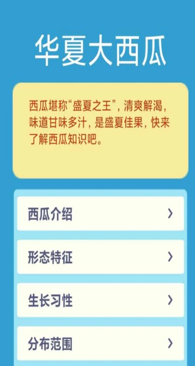 华夏大西瓜
