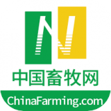 中国畜牧网 
