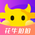 花牛拍拍 