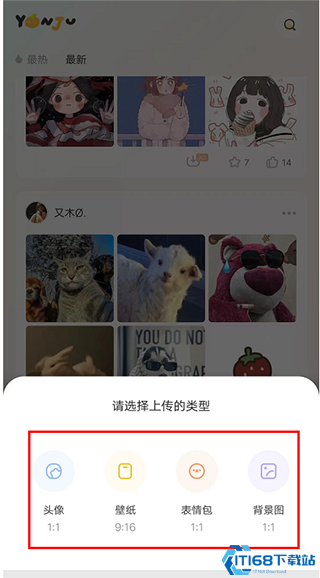 言橘app