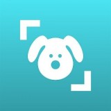 狗狗鉴定器 