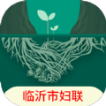 家庭家教家风 