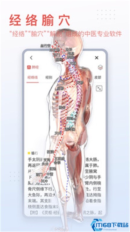 3dbody解剖免费版