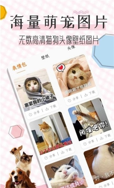 猫语翻译宝