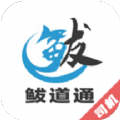 鲅道通司机端 