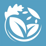 坚道夫企慧 