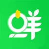 鲜米到家 
