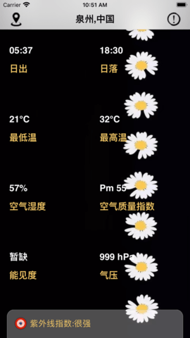 小雏菊天气