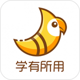 斑鸠职业 