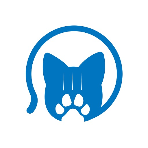 插本猫 