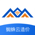 蜘蛛云造价 