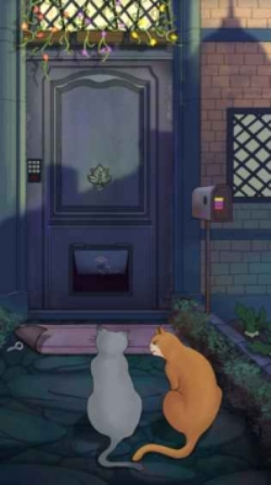 流浪橘猫侠