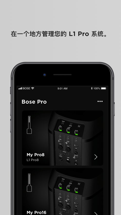 BoseL1Mix
