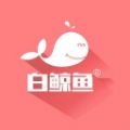 白鲸鱼 