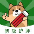 初级护师练题狗 