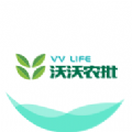 沃沃农批 
