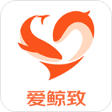 爱鲸致 