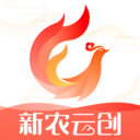新农云创 