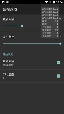 CpuFloatSimplifiedChinese