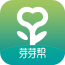 口腔健康计划 