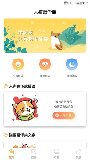 猫猫交流工具