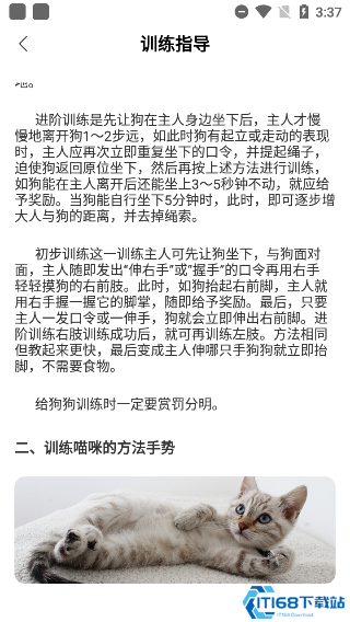 动物翻译器中文版