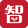 国兴农智慧农业 