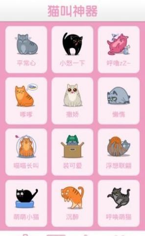 猫咪神器